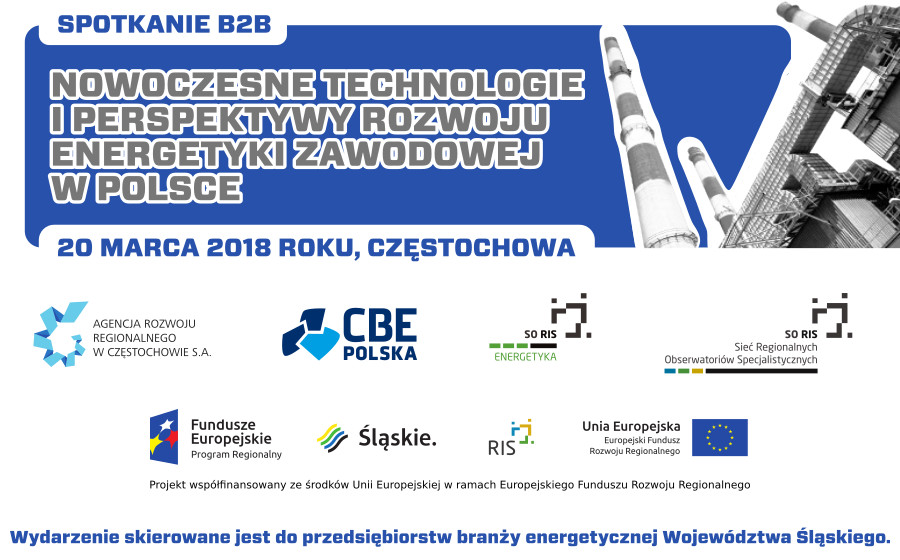 Nowoczesne technologie i perspektywy rozwoju energetyki zawodowej w Polsce